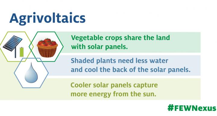 Agrivoltaics image with a vendiagram of water, an electrical pannel and a basket of tomatoes. Vegetable crops share the land with solar panels. Shaded plants need less water and cool the back of the solar panels. Cooler solar panels capture more energy fr