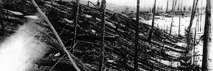 1908 Tunguska Impact event, trees laying on their sides