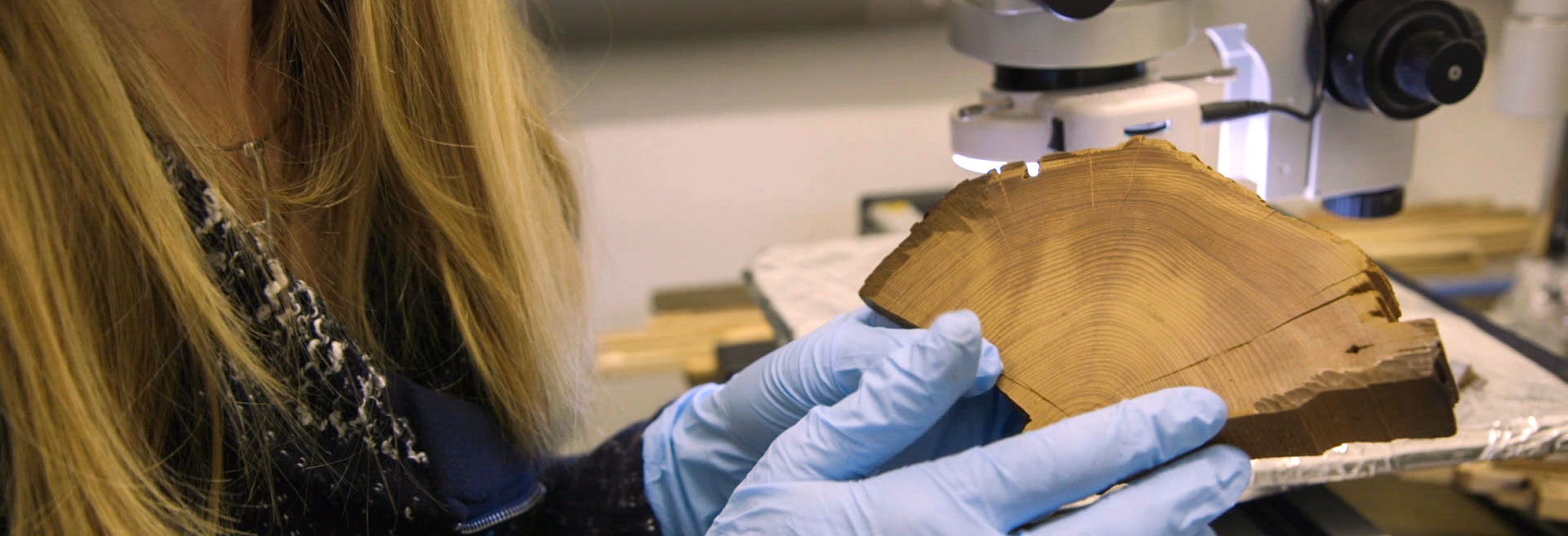 Researcher at the university of Arizona examining a wood block sample from the Tree Ring lab